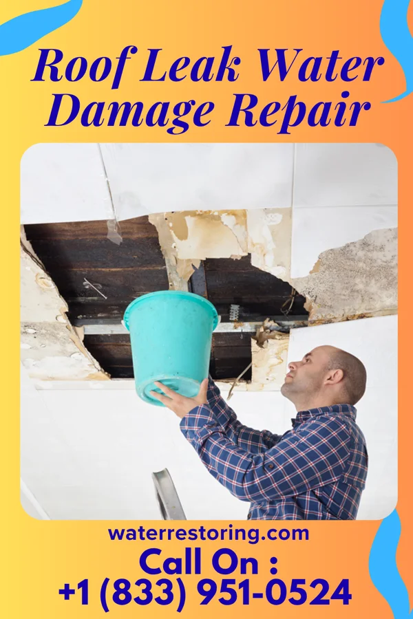 Roof Leak Water Damage Repair in Steele, ND